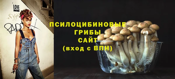 MDMA Краснослободск