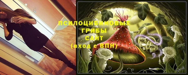 не бодяженный Краснотурьинск