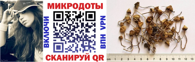 Псилоцибиновые грибы Psilocybine cubensis  маркетплейс формула  Шиханы 